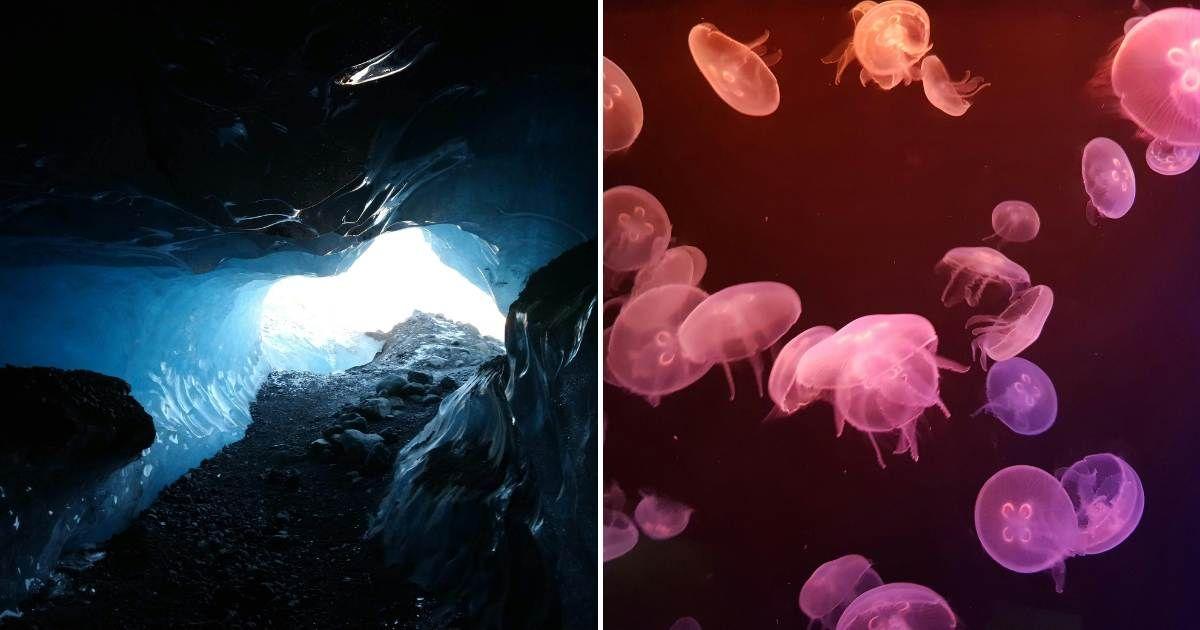 (L) A hole deep inside the Antarctic ice. (R) A surreal underwater ecosystem with clusters of organisms. (Representative Cover Image Source: Pexels | (L) Rozemarijn van Kampen, (R) Susana Angel Román)