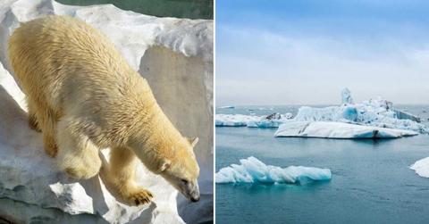 (L) A polar bear walking down on an iceberg. (L) Melting icebergs in the ocean. (Representative Cover Image Source: Pexels | (L) Chen Te, (R) Guillaume Falco)