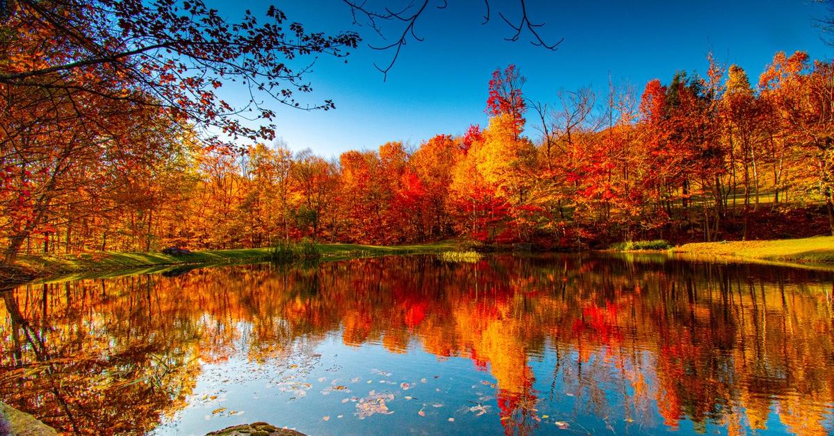 The Best Places to See Foliage in the U.S. This Fall