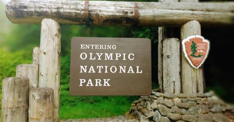 Signboard reading Olympic National Park dangling from wooden logs (Representative Cover Image Source: Getty Images | Cheyenne James)