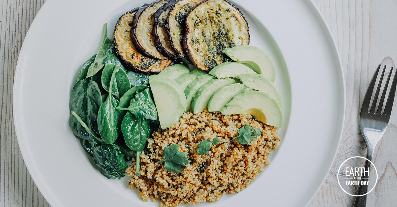 A plate with avocado, quinoa, eggplant slices, and steamed spinach.