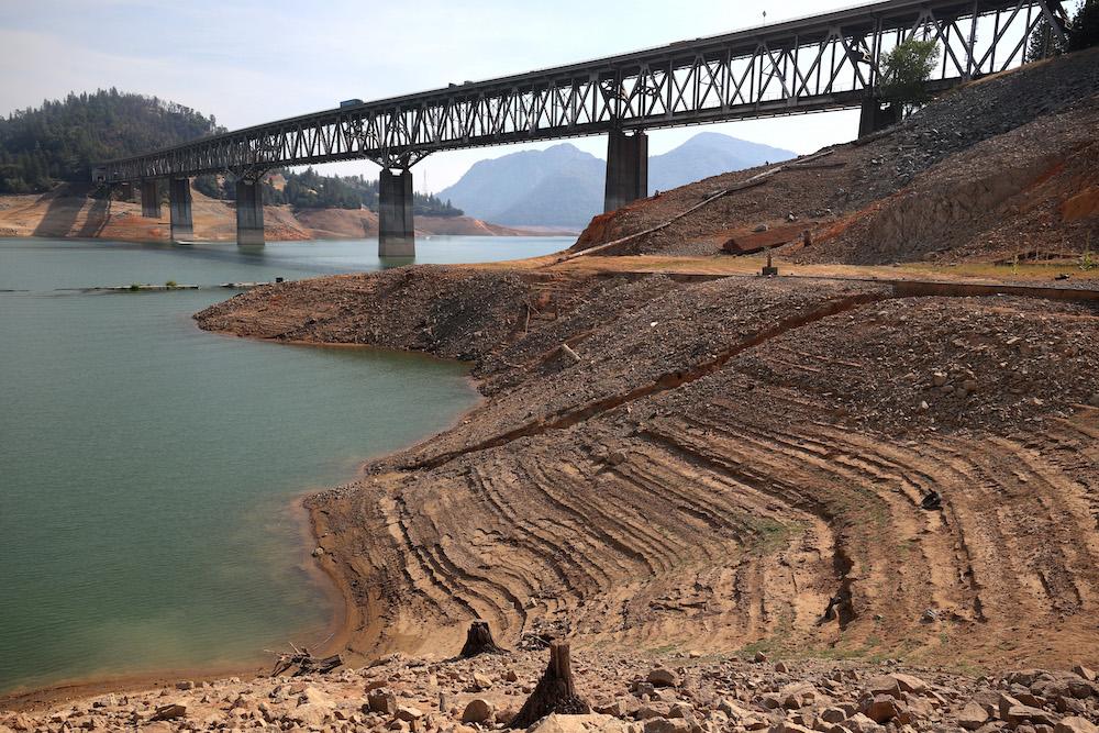 Lake Shasta Levels