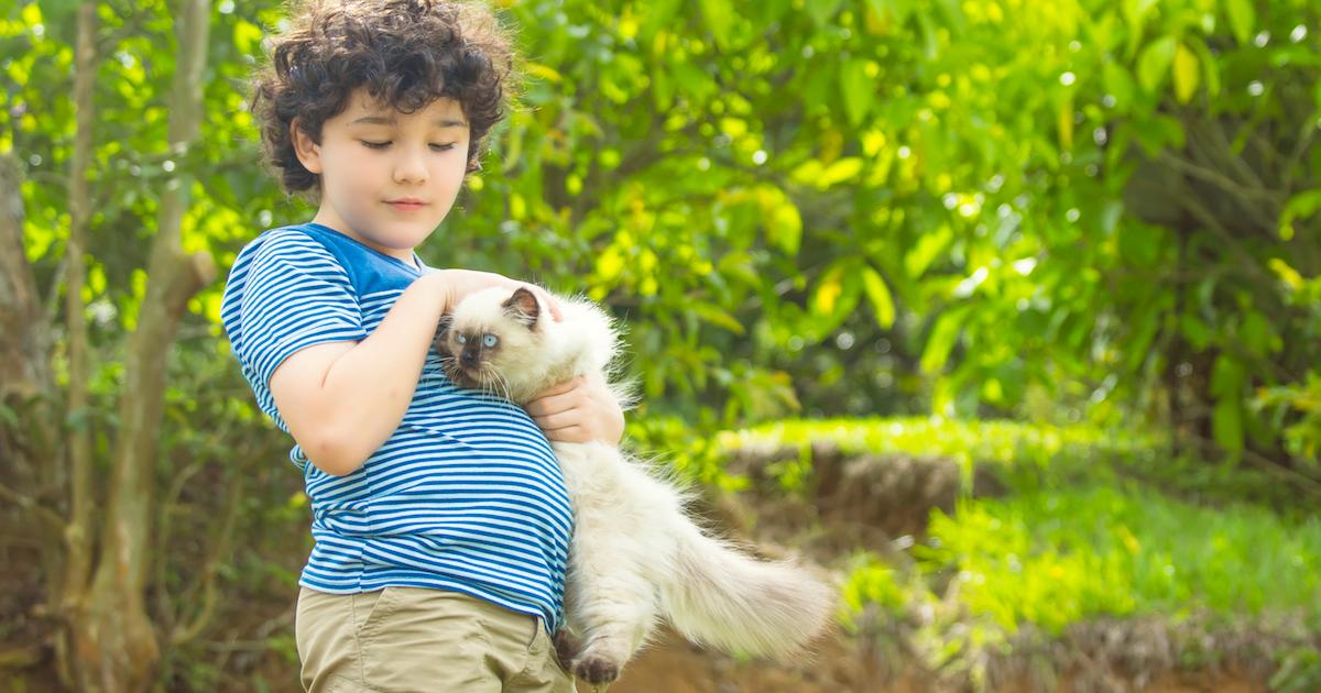 Does My Cat Know I Love Him?