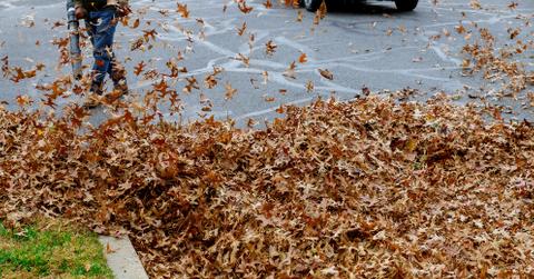 Leaf blowing