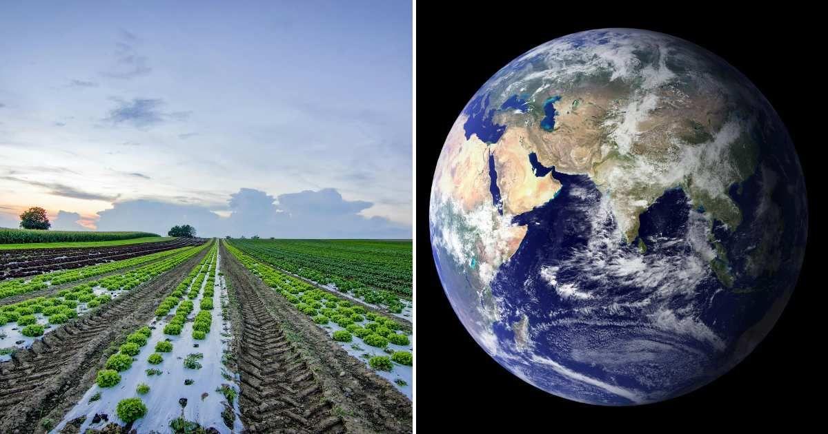 (L) An agricultural field stretching for acres.  (R) Image of the Earth as seen from space. (Representative Cover Image Source: Pexels | (L) Reto Bürkler, (R) Pixabay)