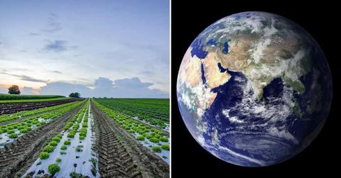 (L) An agricultural field stretching for acres. (R) Image of the Earth as seen from space. (Representative Cover Image Source: Pexels | (L) Reto Bürkler, (R) Pixabay)