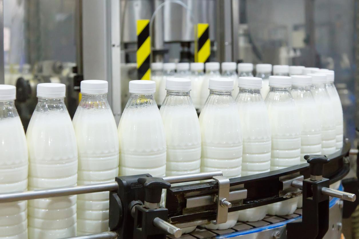 A series of milk bottles without labels are depicted on an assembly line in a dairy factory.