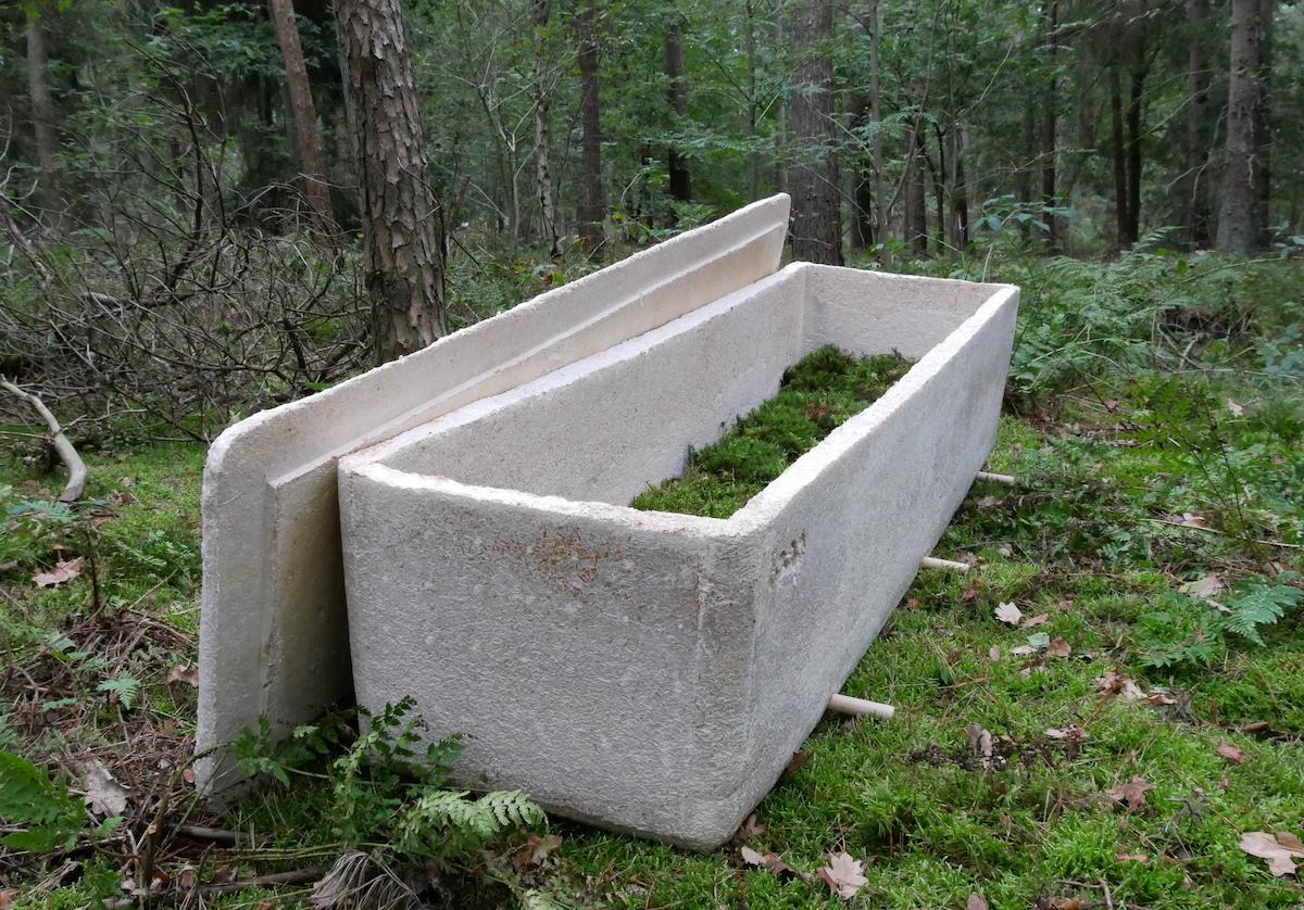 "Living" Mushroom Coffins Help Bodies in 2 Years