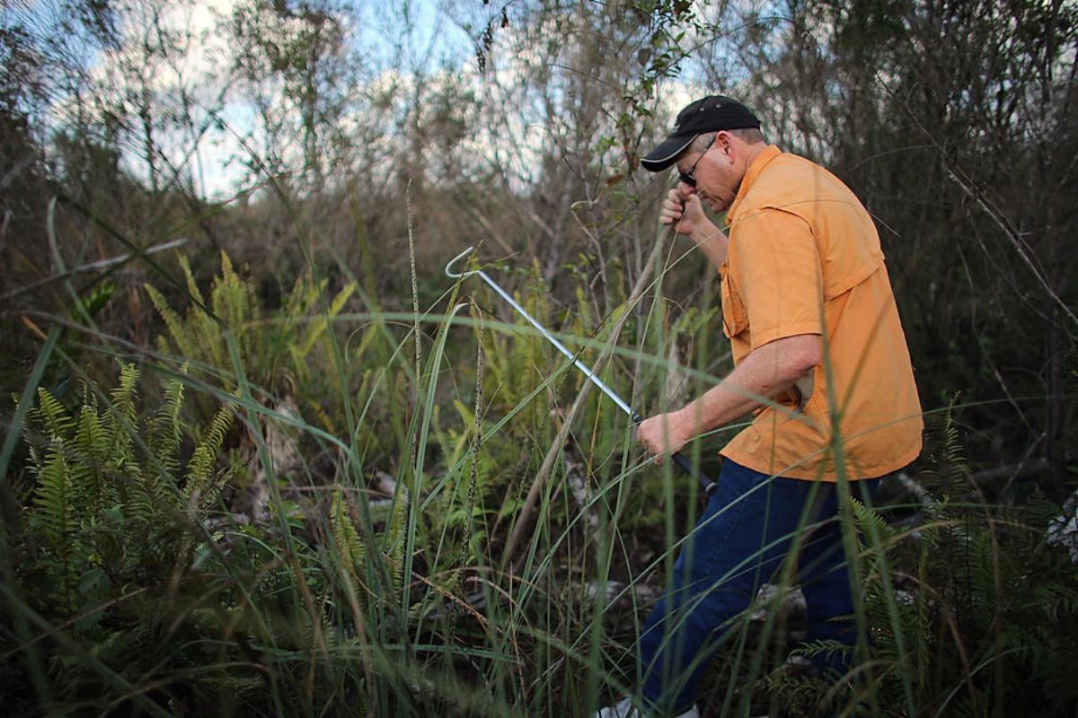 man in orange shirt hunting a python