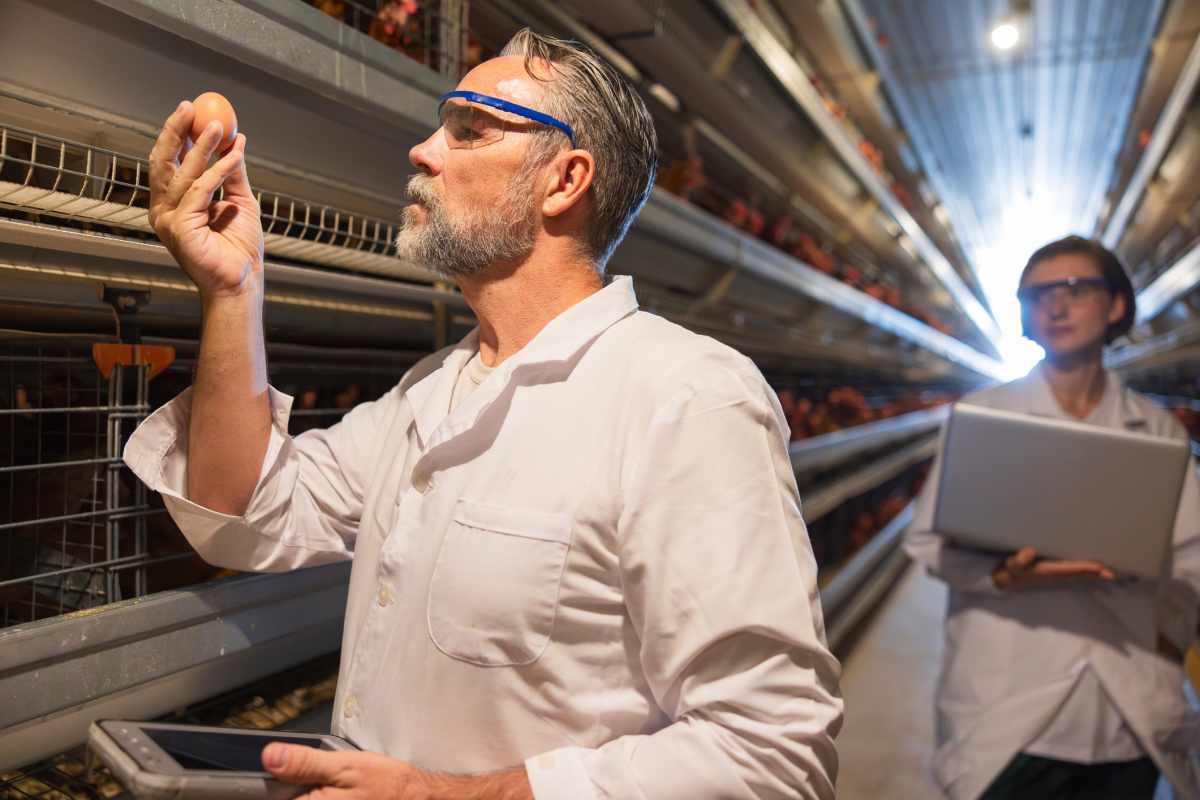 pn/beccf b f d fcaaacfd