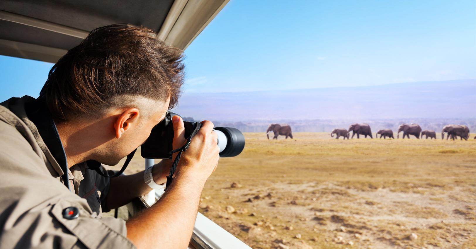 GM Travel Animals SerrNovik Istock