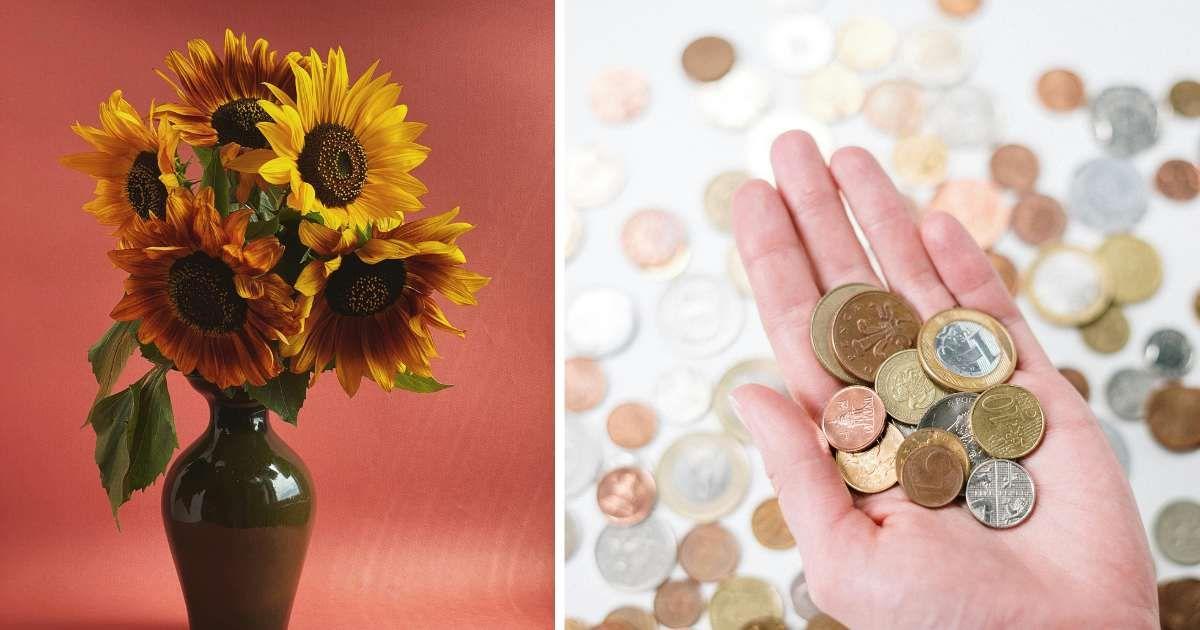 (L) Yellow flowers in a vase with a peachy red copy background, (R) Cluster of antique coins in the palm of a person's hand. (Representative Cover Image Source: Pexels | (L) Svitlana Myslyvets, (R) Cottonbro Studio)