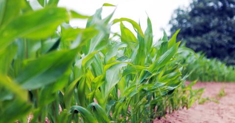 From Toilet-to-Table: How One Wastewater Project Could Solve The Drought In California