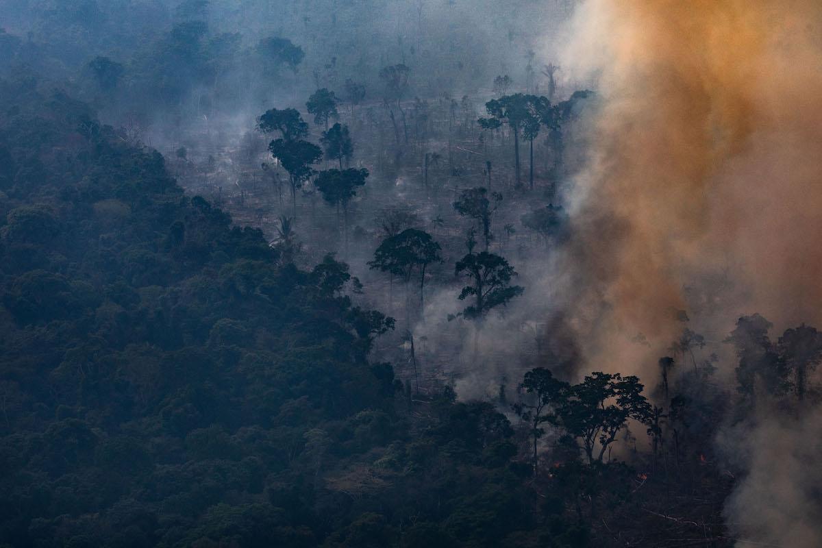 jair bolsonaro amazon fires