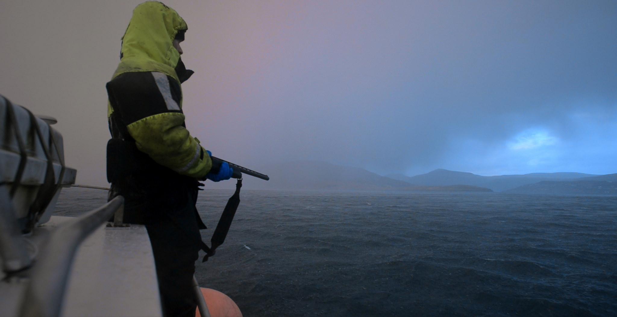 New Documentary Explores How Pollution Affects Whale Hunting In Remote