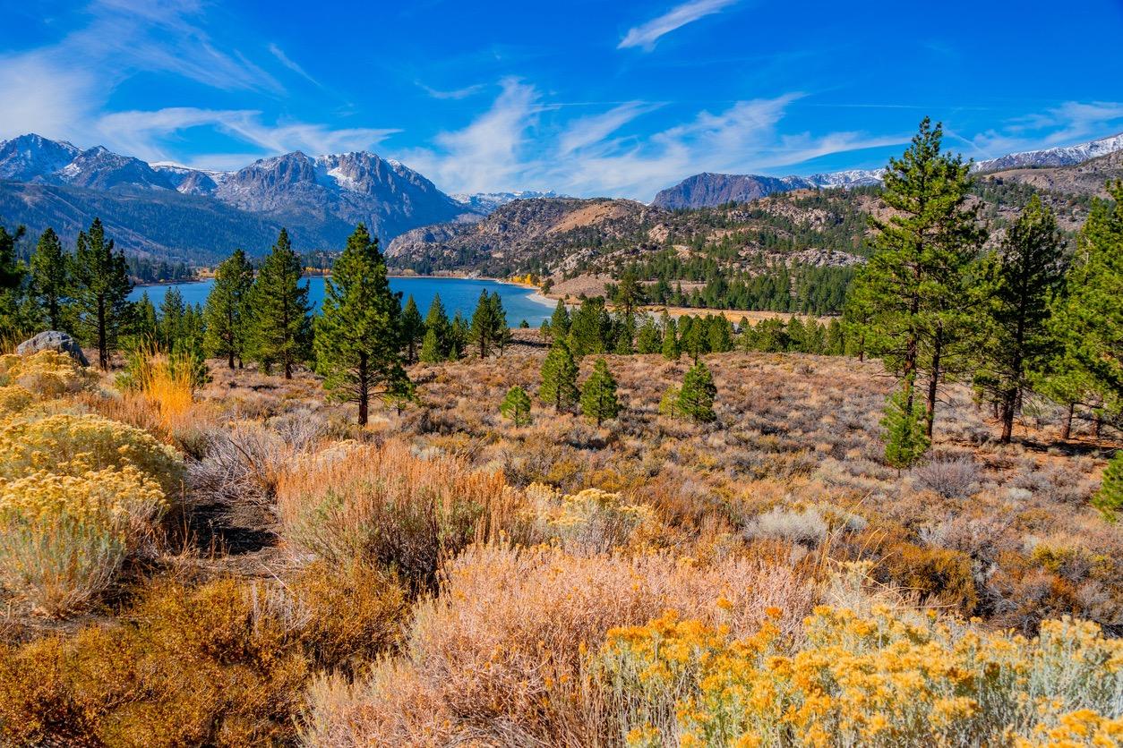 June Lake