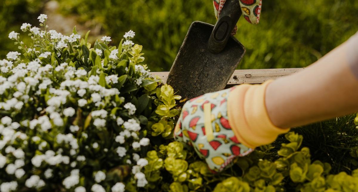 gardening