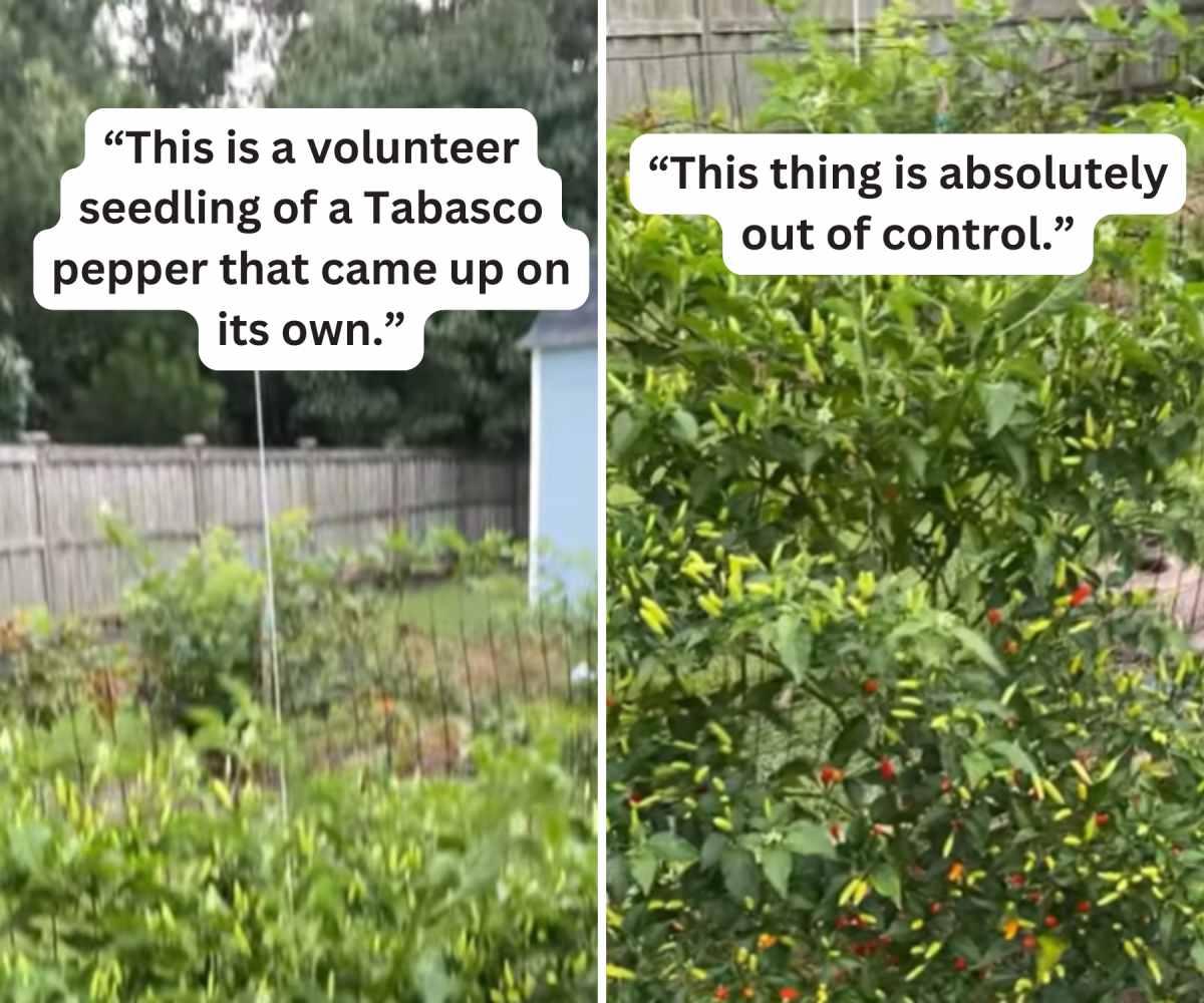 pn/fbfbd b e ac fefbcb