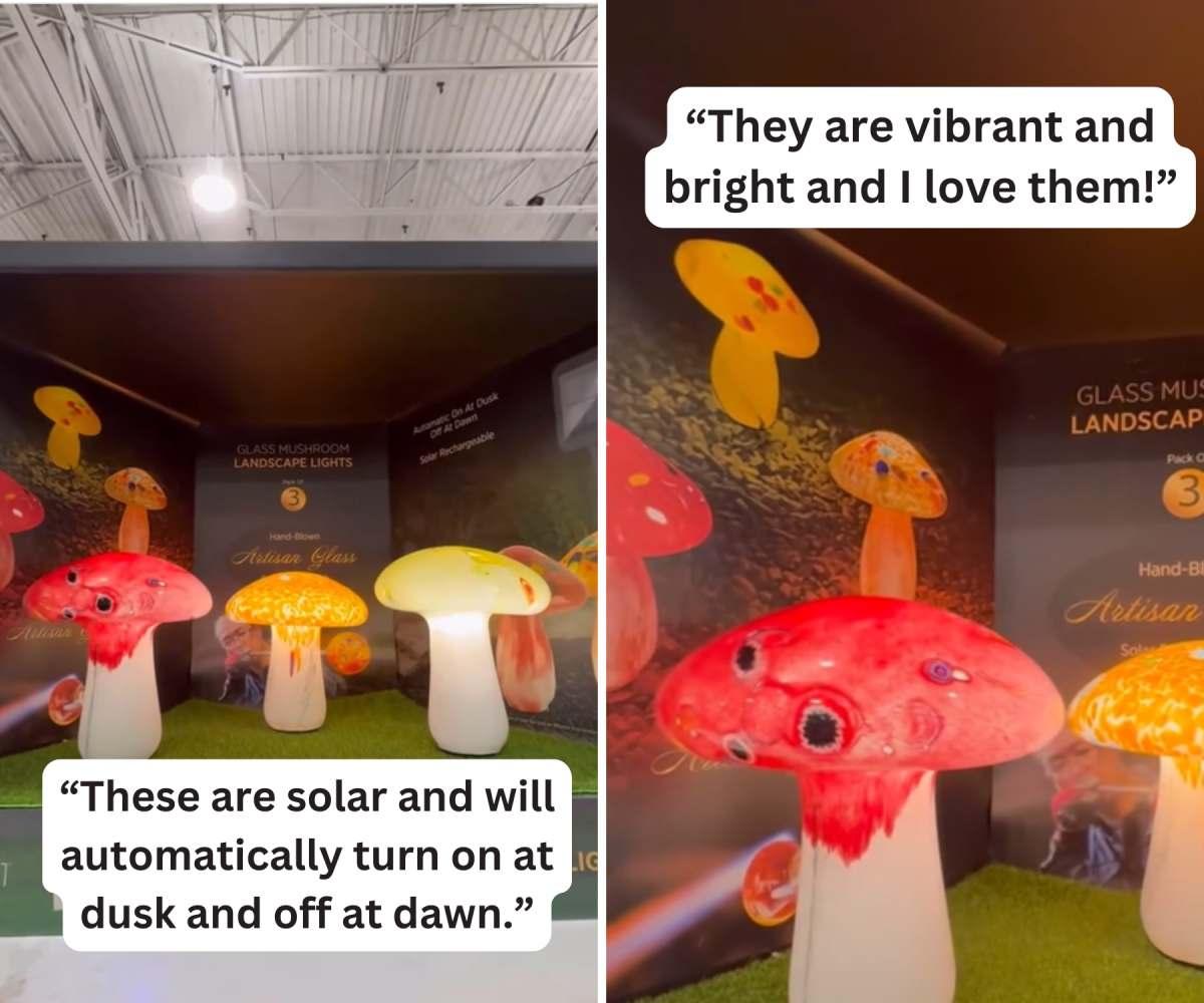 pn/dfee a c abca bdffe