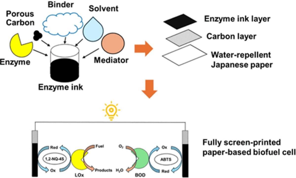 pn/fbd fd ea a dfdda