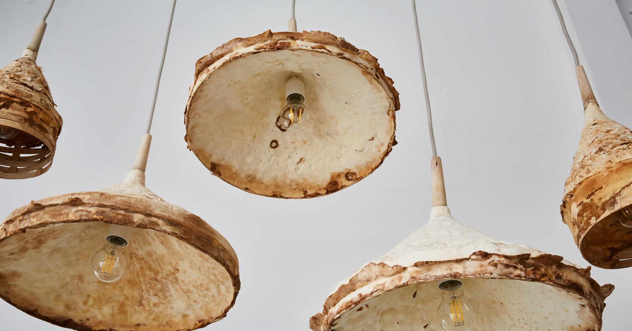 Why Designers Are Using Mushrooms To Create Eco-Friendly Furniture