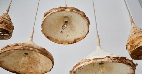 mycelium timber london design festival_dezeen__col_