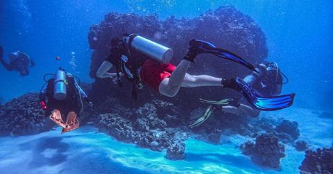 A few divers are exploring the sea, swimming through a coral reef. (Representative Covers Image Source: Pexels | Pexels User)