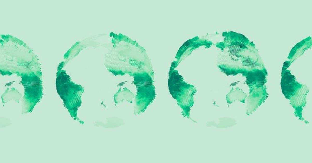 Representation of Earth's vegetation blueprint that shifts through seasons. (Cover Image Source: Ida Flik and Stefan Bernhardt)