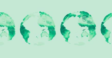 Representation of Earth's vegetation blueprint that shifts through seasons. (Cover Image Source: Ida Flik and Stefan Bernhardt)