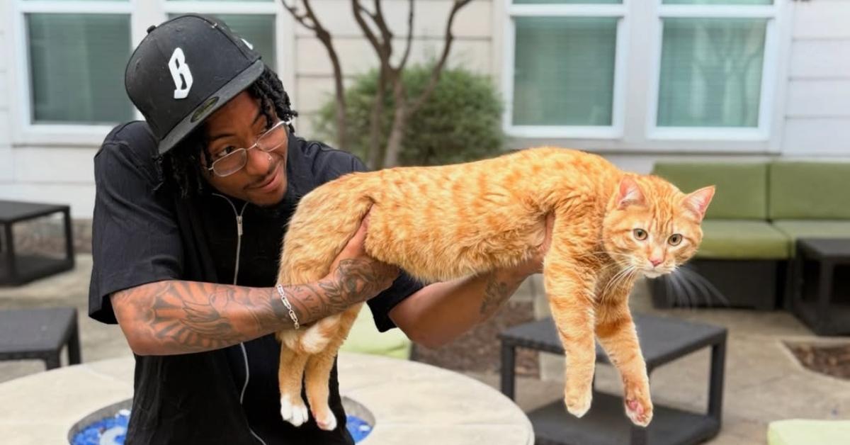 (l-r): 'Love Island' star Kordell Beckham holding his cat, Milo