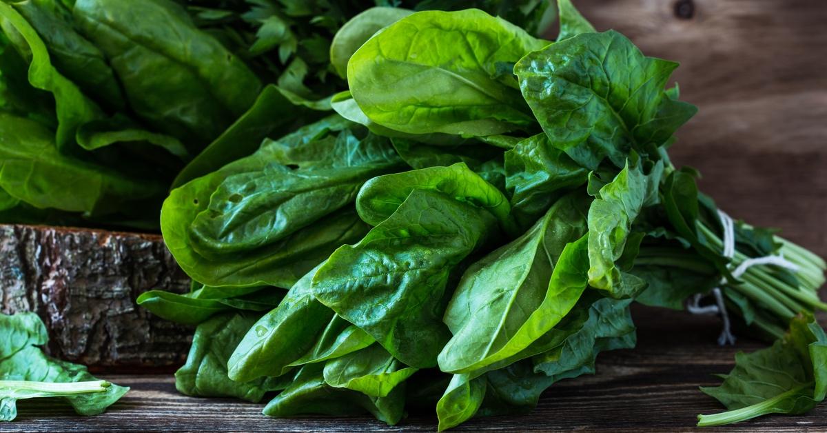 Freshly harvested spinach