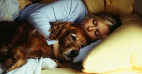 Is Napping Good For You