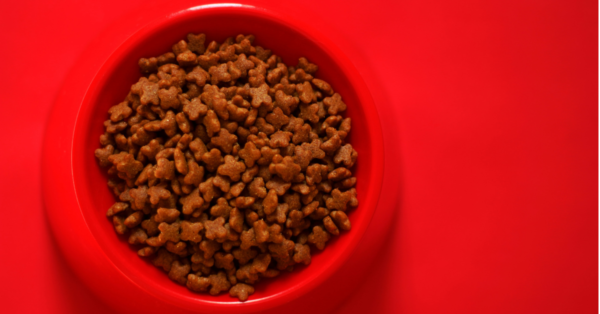 A red bowl holds a collection of cat food