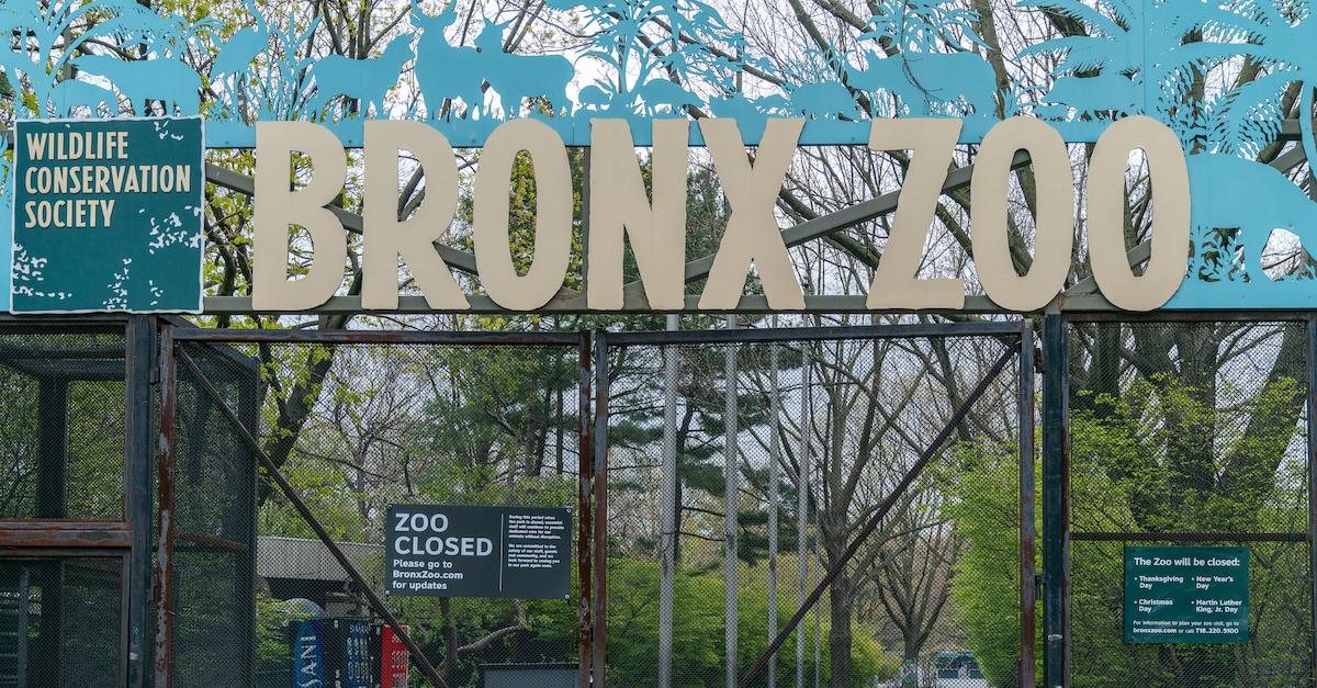 Bronx Zoo