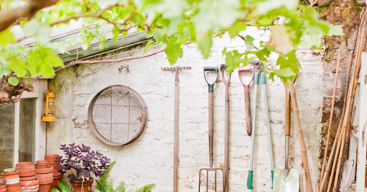 A backyard garden with various tools.