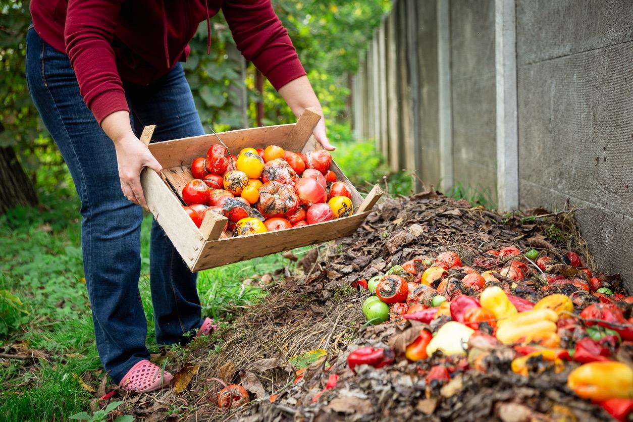 Compost