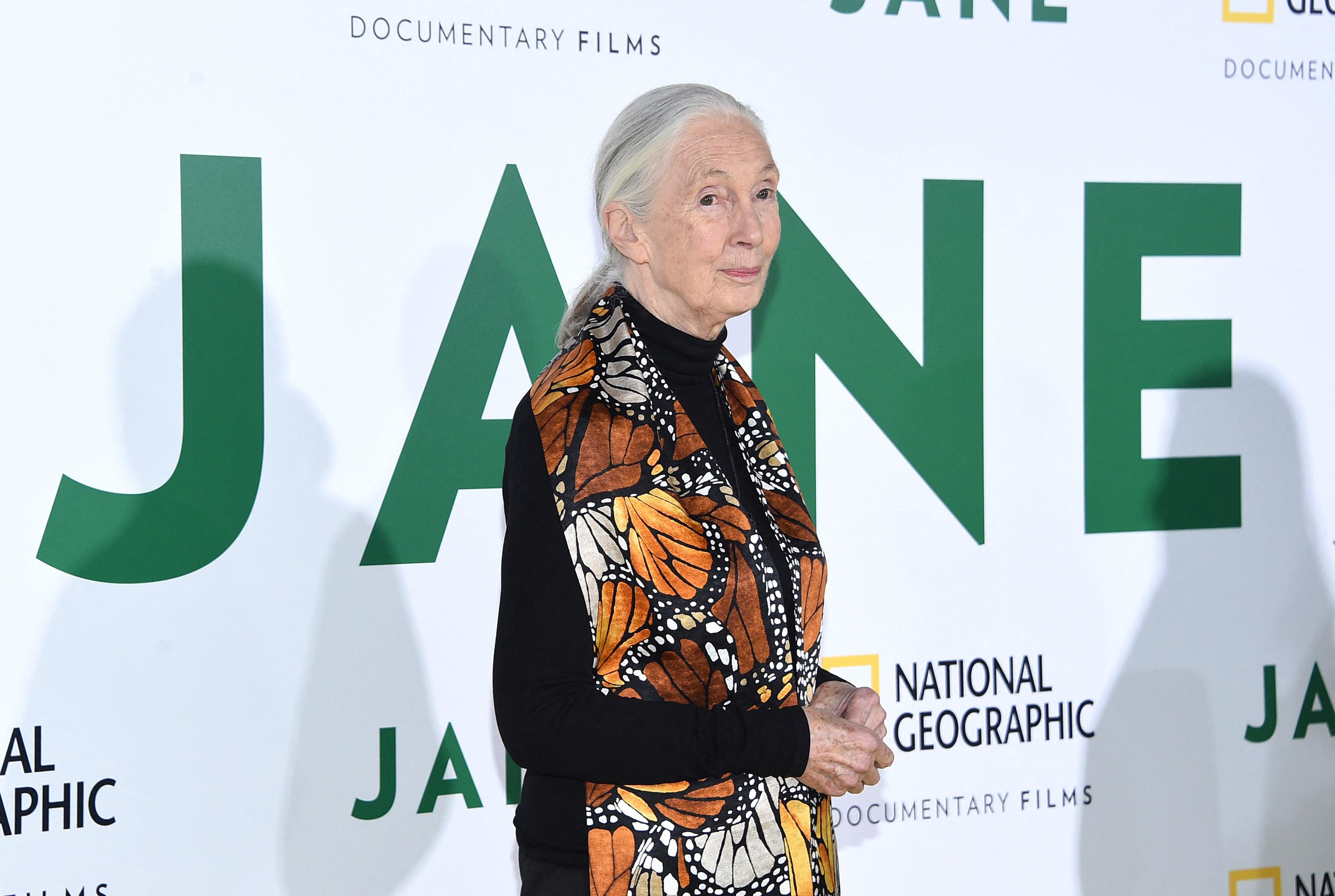 Jane Goodall appears at the premiere of 'Jane.'
