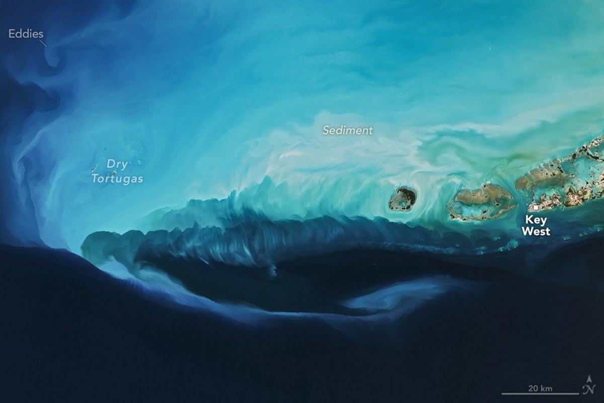 pn/ede cbd aaa ca bfcf