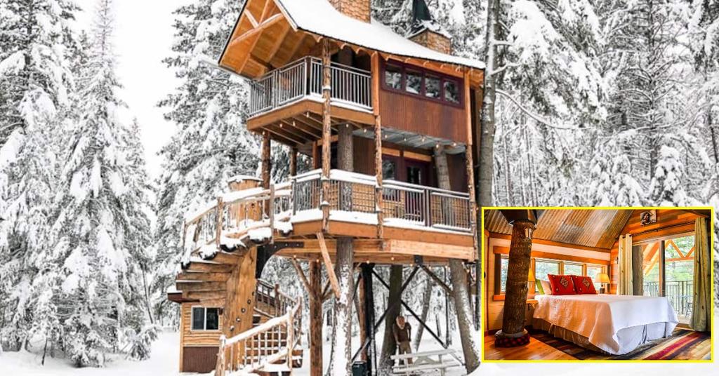 These Are The Best And Most Unique Airbnb Treehouses In The U.S.