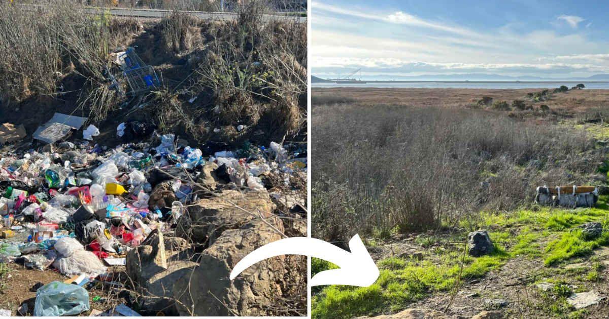 Before and after pictures of a spot where Wang cleaned up illegal trash dumping in Vallejo, California. (Cover Image Source: Reddit | u/pengweather)
