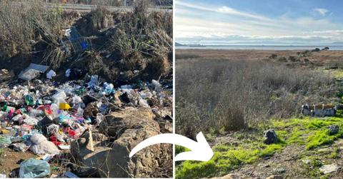 Before and after pictures of a spot where Wang cleaned up illegal trash dumping in Vallejo, California. (Cover Image Source: Reddit | u/pengweather)