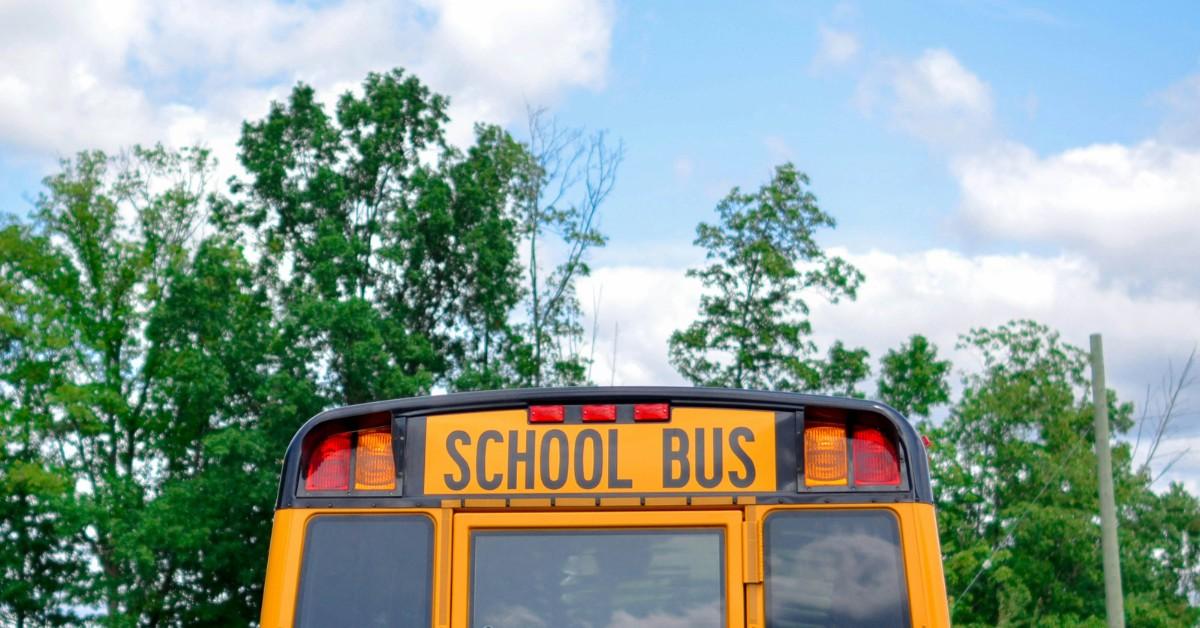 The top part of a school bus is visible as it drives by some trees