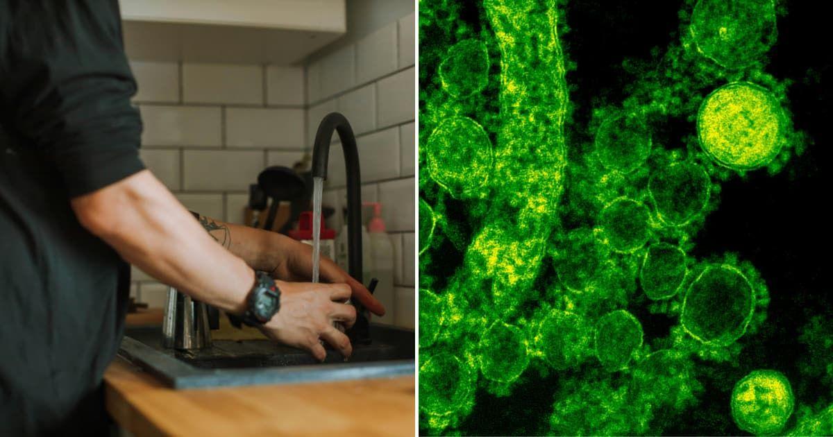 (L) A man fetching tap water in the kitchen; (R) Bacteria under the microscope (Representative Cover Image Source: Pexels | (L) Anastasia Shuraeva, (R) CDC)