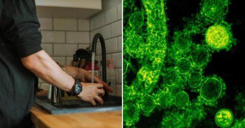 (L) A man fetching tap water in the kitchen; (R) Bacteria under the microscope (Representative Cover Image Source: Pexels | (L) Anastasia Shuraeva, (R) CDC)