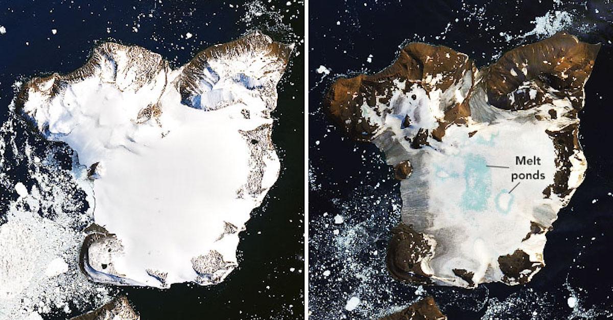 Antarctica Heatwave Melts 20 percent of Snow on Eagle Island's Ice Caps