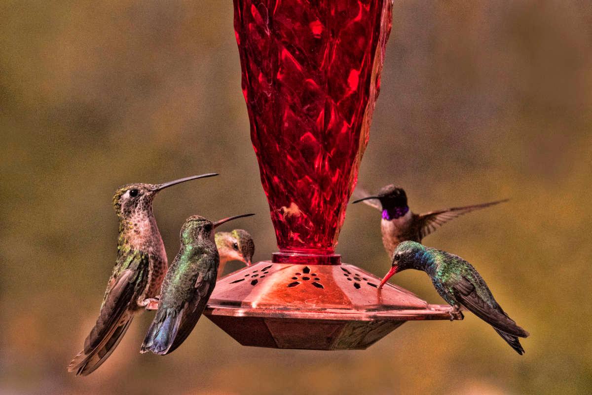 pn/eee dfc e d aadbd