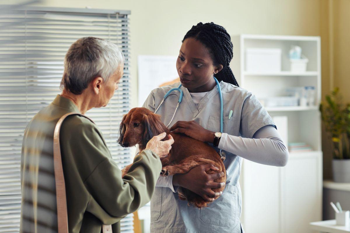 Woman speaking to vet about her dog