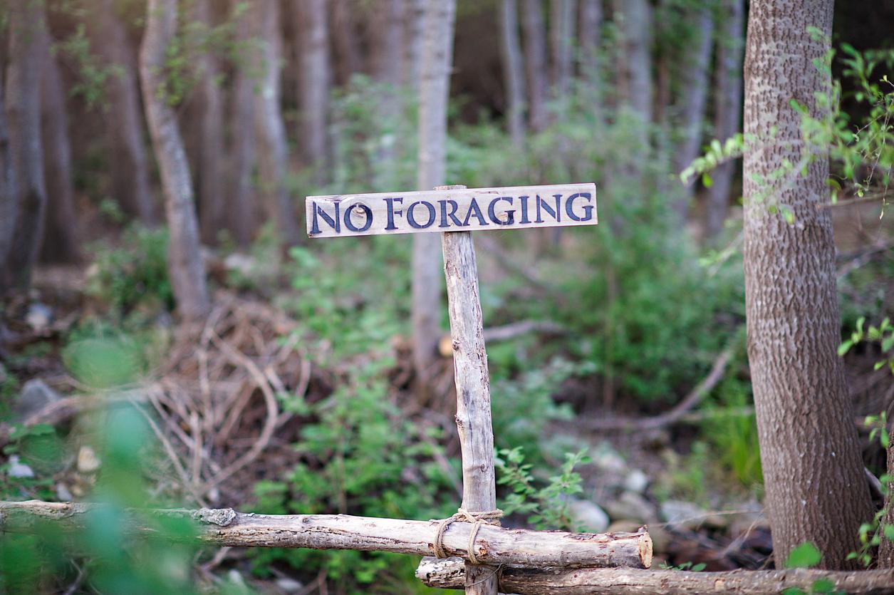 No Foraging Sign