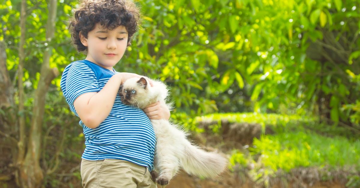 Boy with Himalayan cat