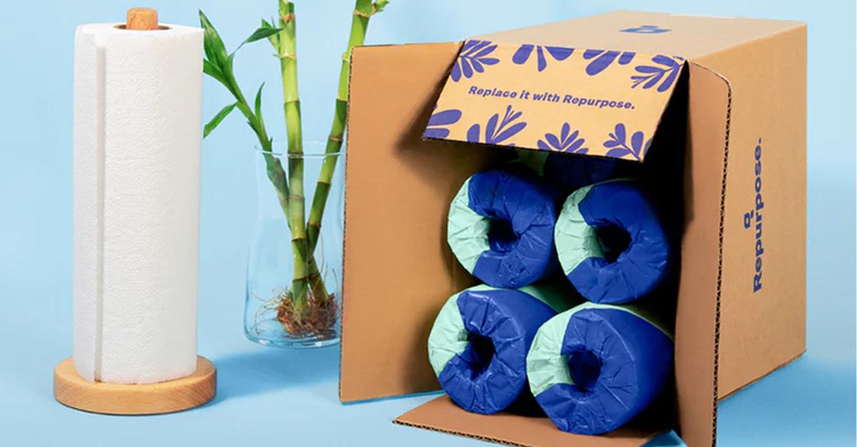 paper towel roll and paper towels in paper packaging inside a cardboard box with bamboo stalks in a vase